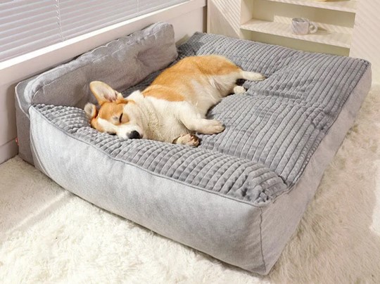 best dog beds dursley